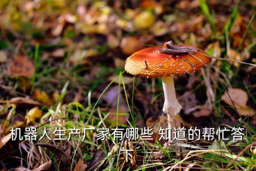 機器人生產(chǎn)廠家有哪些 知道的幫忙答下