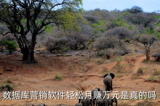 做數(shù)據(jù)掙錢是真是假，vr大數(shù)據(jù)賺錢是真的嗎