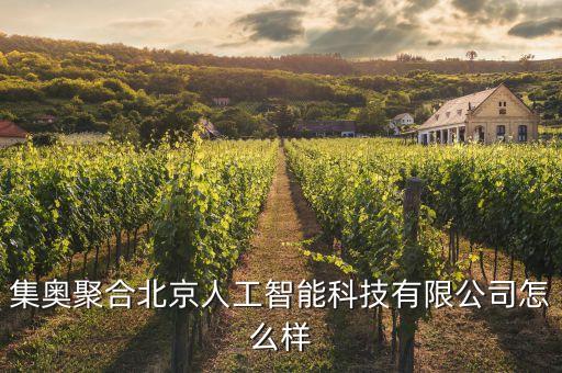 集奧聚合北京人工智能科技有限公司怎么樣