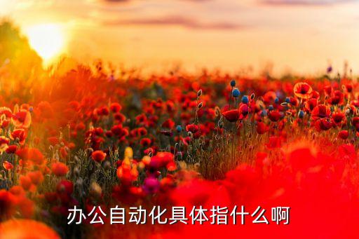 辦公自動化具體指什么啊
