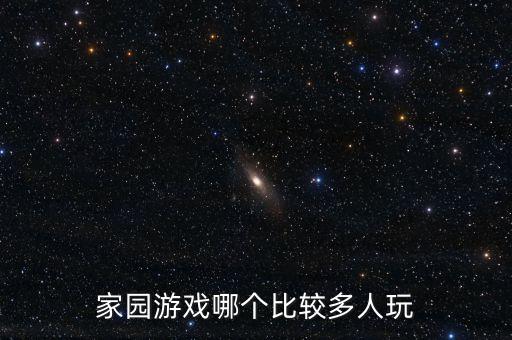 家園游戲哪個比較多人玩