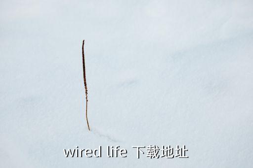 蜂享生活下載，騰訊網(wǎng)便民下載