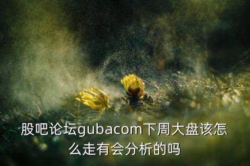 股吧論壇gubacom下周大盤該怎么走有會分析的嗎