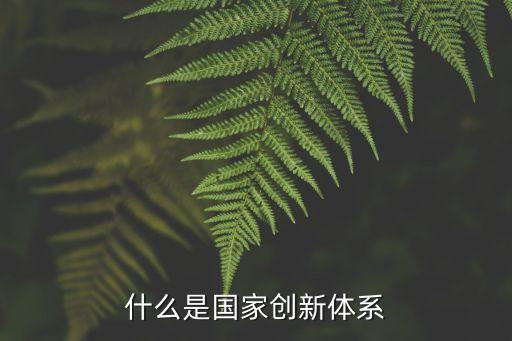 創(chuàng)新支撐體系，支撐發(fā)展引領(lǐng)未來(lái)的方針加快建設(shè)國(guó)家創(chuàng)新體系