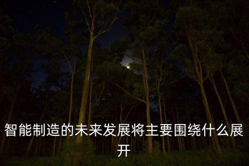 智能制造的未來發(fā)展將主要圍繞什么展開