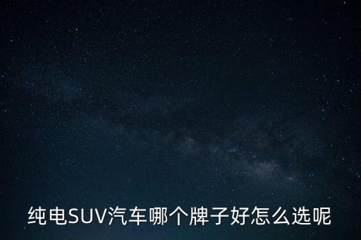 純電SUV汽車哪個牌子好怎么選呢