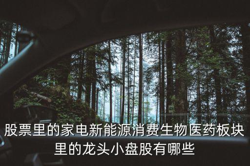 股票里的家電新能源消費(fèi)生物醫(yī)藥板塊里的龍頭小盤股有哪些