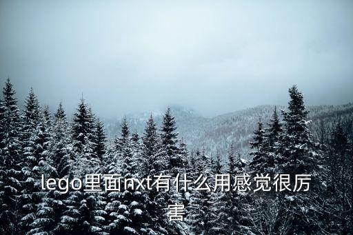 lego里面nxt有什么用感覺很厲害