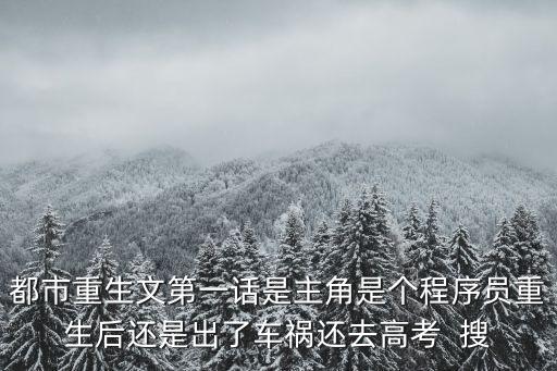 重生從程序員開始，一個(gè)小說主角一開始是程序員好像又有都市又有玄幻一開始游戲