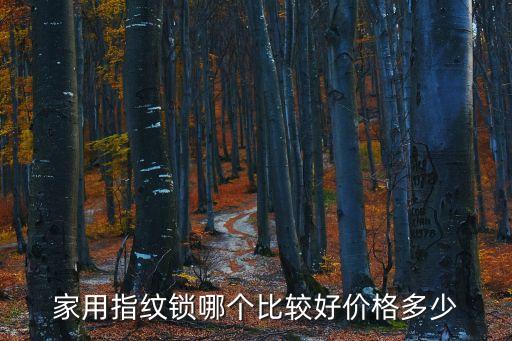 智能鎖十大名牌價(jià)格，家用指紋鎖哪個(gè)品牌好市場價(jià)多少
