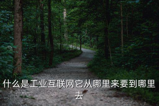 工業(yè)互聯(lián)，工業(yè)互聯(lián)網(wǎng)可以為企業(yè)提供哪些服務(wù)請舉例說說