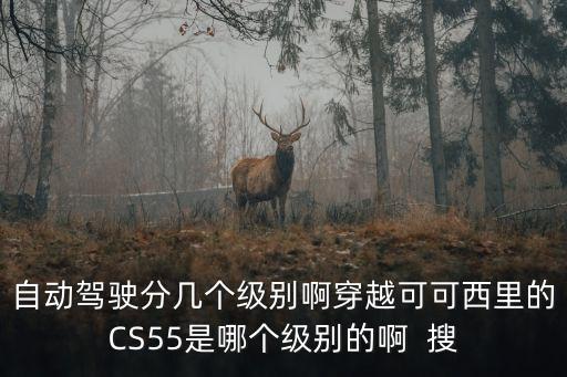自動駕駛分幾個級別啊穿越可可西里的CS55是哪個級別的啊  搜