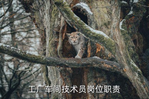 工廠車間技術員崗位職責
