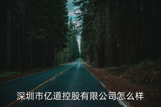 深圳市億道控股有限公司怎么樣