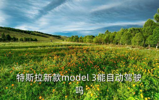 特斯拉自動(dòng)駕駛破解激活，如何正確使用特斯拉Autopilot功能