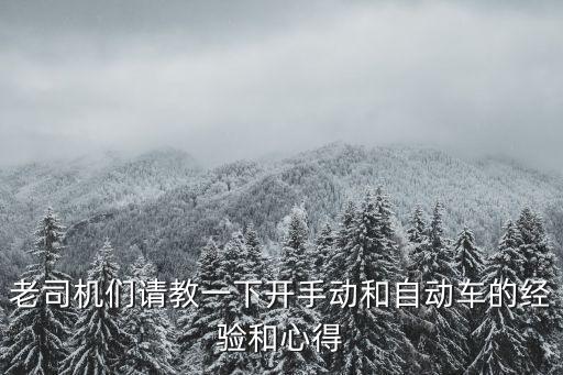 關(guān)于自動駕駛的感想，大眾朗逸14t自動舒適駕駛心得