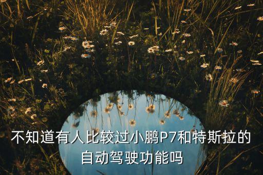 不知道有人比較過小鵬P7和特斯拉的自動(dòng)駕駛功能嗎