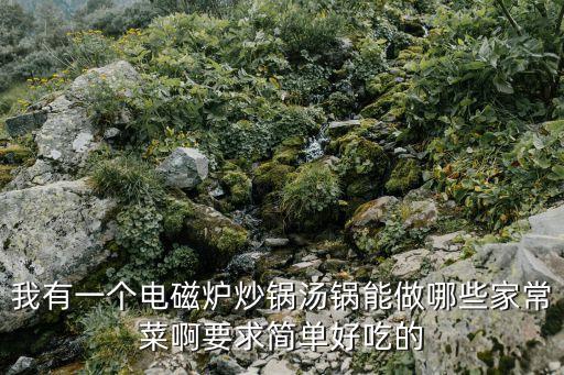 我有一個電磁爐炒鍋湯鍋能做哪些家常菜啊要求簡單好吃的
