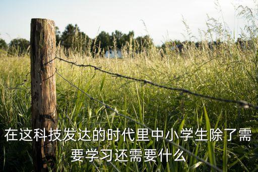 在這科技發(fā)達(dá)的時(shí)代里中小學(xué)生除了需要學(xué)習(xí)還需要什么