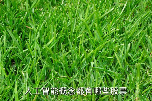 人工智能概念都有哪些股票