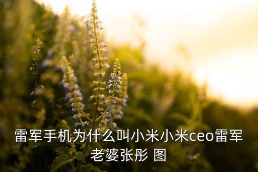 雷軍手機(jī)為什么叫小米小米ceo雷軍老婆張彤 圖