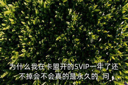 超級卡盟刷會員真永久，卡盟刷的會員有永久的嗎