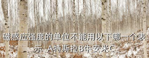 哪些單位不能開(kāi)特斯拉，磁感應(yīng)強(qiáng)度的單位不能用以下哪一個(gè)表示1特斯拉 2牛安米3