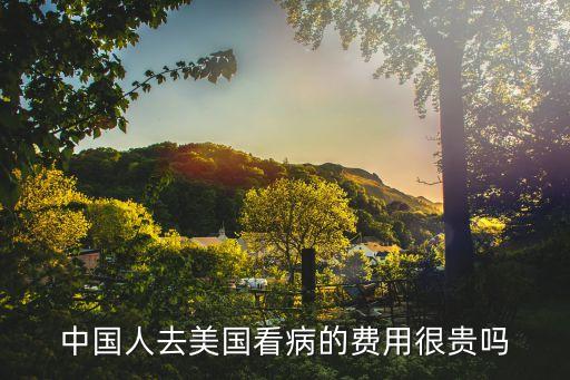 美國(guó)看病貴還是中國(guó)貴，中國(guó)人去美國(guó)看病的費(fèi)用很貴嗎
