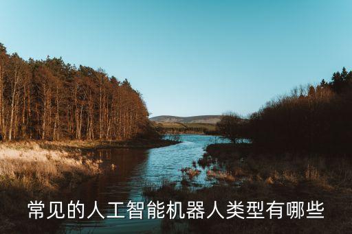 常見的人工智能機(jī)器人類型有哪些