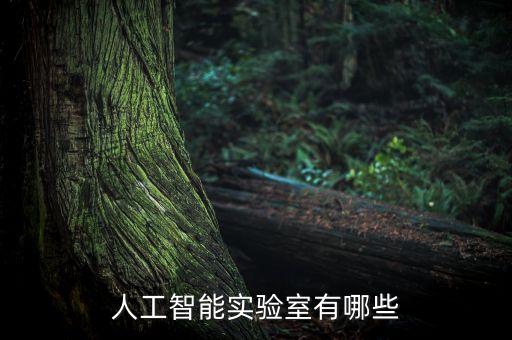 人工智能聯(lián)合實(shí)驗(yàn)室有哪些項(xiàng)目，人工智能實(shí)驗(yàn)室有哪些