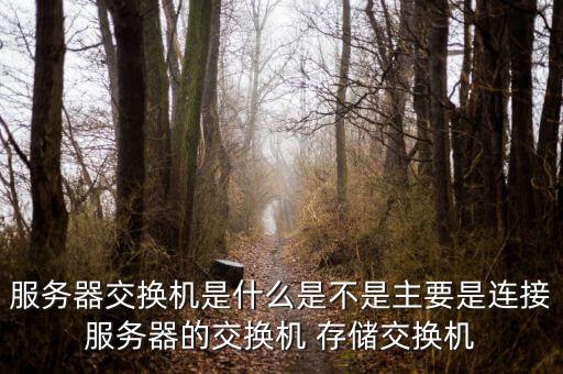 服務(wù)器交換機(jī)是什么是不是主要是連接服務(wù)器的交換機(jī) 存儲(chǔ)交換機(jī)
