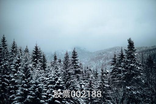 股票002188