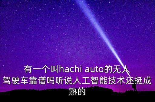 有一個(gè)叫hachi auto的無人駕駛車靠譜嗎聽說人工智能技術(shù)還挺成熟的