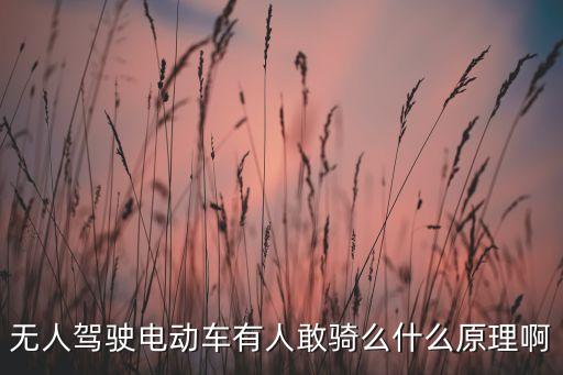 純電動車無人駕駛車，無人駕駛電動車有人敢騎么什么原理啊