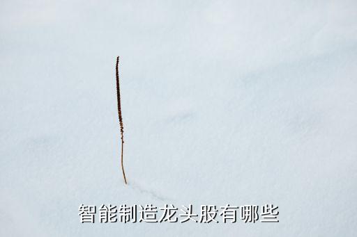 智能制造龍頭股有哪些
