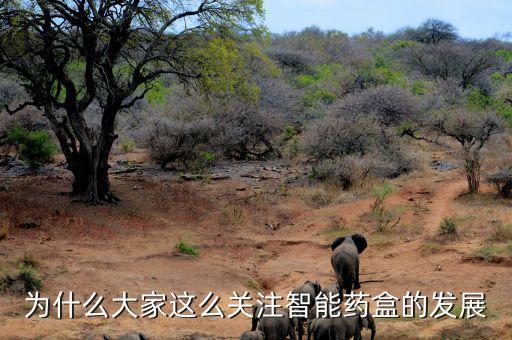 為什么大家這么關(guān)注智能藥盒的發(fā)展
