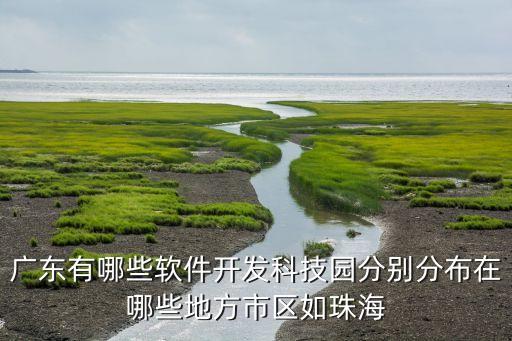 廣東有哪些軟件開發(fā)科技園分別分布在哪些地方市區(qū)如珠海