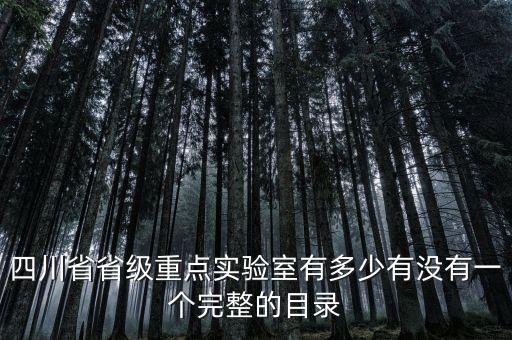 四川省省級(jí)重點(diǎn)實(shí)驗(yàn)室有多少有沒(méi)有一個(gè)完整的目錄