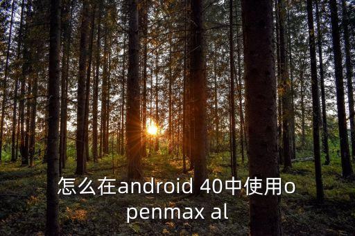 怎么在android 40中使用openmax al