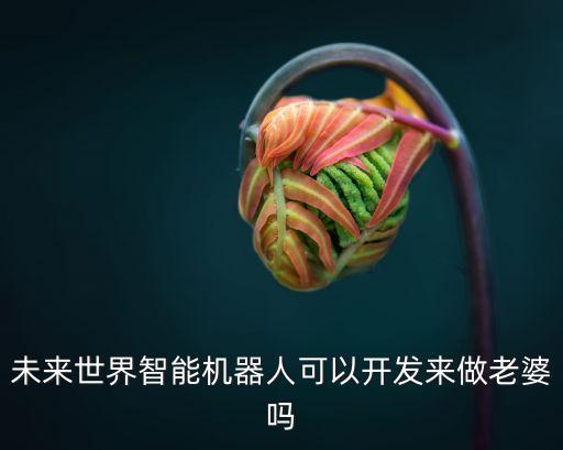 未來(lái)世界智能機(jī)器人可以開(kāi)發(fā)來(lái)做老婆嗎