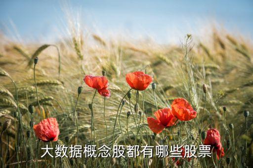 大數(shù)據(jù)概念股票，大數(shù)據(jù)概念股都有哪些股票