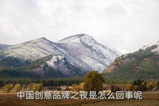 中國(guó)創(chuàng)意品牌之夜是怎么回事呢