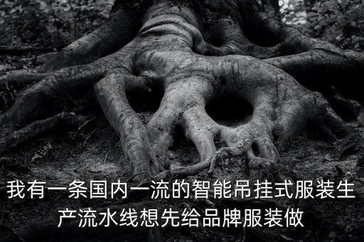 我有一條國(guó)內(nèi)一流的智能吊掛式服裝生產(chǎn)流水線想先給品牌服裝做