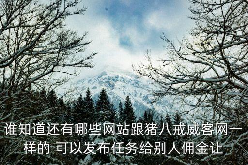 誰知道還有哪些網站跟豬八戒威客網一樣的 可以發(fā)布任務給別人傭金讓