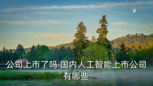 公司上市了嗎 國內(nèi)人工智能上市公司有哪些