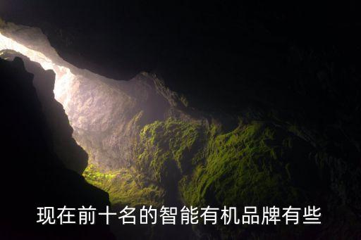 智能產(chǎn)品大全排名前十名有哪些，現(xiàn)在前十名的智能有機(jī)品牌有些