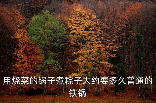 多功能炒菜鍋煮粽子多長(zhǎng)時(shí)間，用燒菜的鍋?zhàn)又篝兆哟蠹s要多久普通的鐵鍋