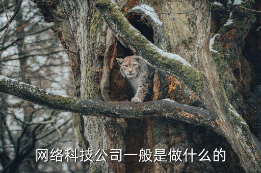 網(wǎng)絡(luò)科技公司一般是做什么的
