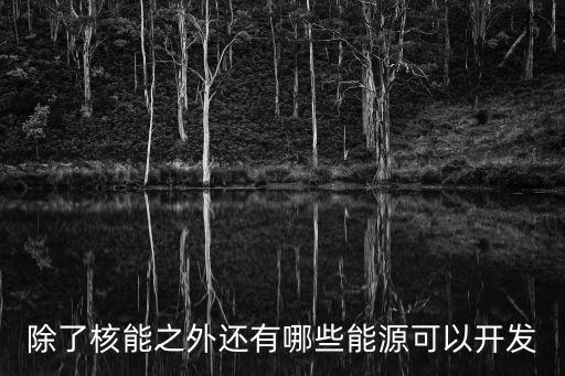 除了核能之外還有哪些能源可以開發(fā)