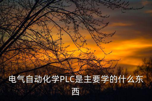 電氣自動(dòng)化學(xué)PLC是主要學(xué)的什么東西